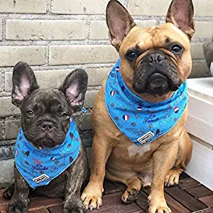 Bulltastic Vive La Frenchie Cooling Pet Dog Bandana – Bandana Scarf for Dogs - Ideal Cooling Bandana for Hot Summer Weather – One Size Fits Most Design
