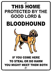 Joycenie Tin Sign New Aluminum Bloodhound Dog Home Protected by Good Lord Wall Decor 12x8 Inch