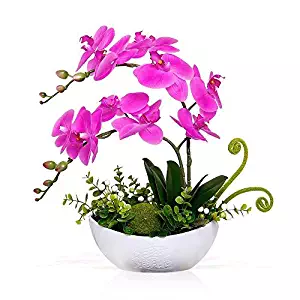 YILIYAJIA Artificial Orchid Bonsai Fake Flowers with Vase Arrangement 5 Head PU Phalaenopsis Bonsai for Home Table Decor(White Vase)