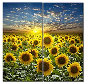 Best Sunflower Canvas Wall Art Decor, Modern 24x24 Hanging Flower Field 2 Panel Print Photograph, Decorative Painting Artwork for Kitchen, Bedroom, Office, Living Room, Home Decor Gift for Men & Women