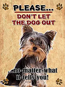 Yorkshire Terrier Yorkie - Don't Let The Dog Out... 9X12 Realistic Pet Image New Aluminum Metal Outdoor Dog Pet Sign. Will Not Rust!