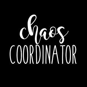 Chaos Coordinator Funny NOK Decal Vinyl Sticker |Cars Trucks Vans Walls Laptop|White|5.5 x 4.0 in|NOK466