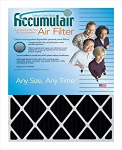 Accumulair FO20X20X1 Carbon Odor Block 1 in. Filter#44; Pack of 4