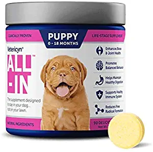 Vetericyn All-in Dog Supplement. Naturally Safe Daily Supplement with Optimal Absorption Technology. Bone and Joint Support. Maintain a Healthy Immune and Digestive System. 90 Tablets. 7.3 Ounces