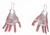 Monster High Picture Day Spectra Vondergeist Doll Y8477 - Replacement Clear Hands