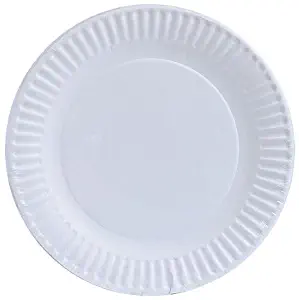 Nicole Home Collection 100 Count Everyday Dinnerware Paper Plate, 9-Inch, White