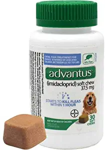 AdvantusSoft Chew